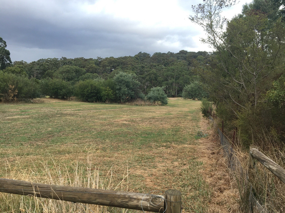 Challenger St Reserve-Diamond Creek必去景点