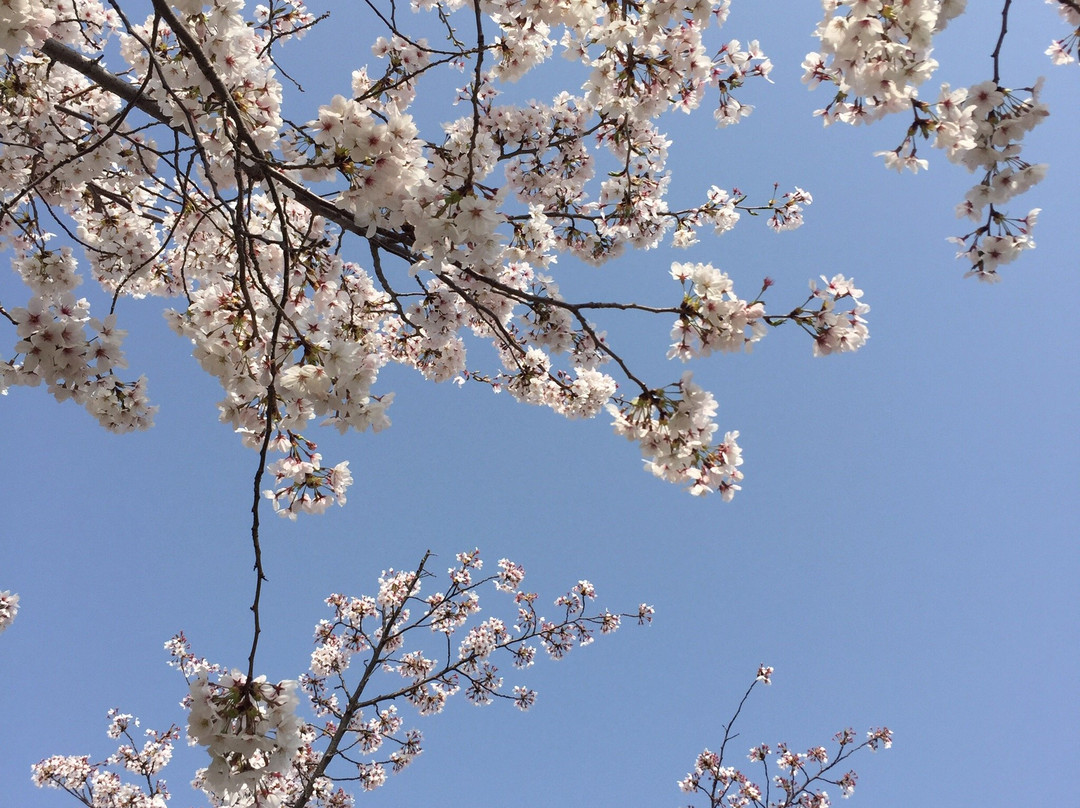 Kishiwada Central Park-岸和田市必去景点