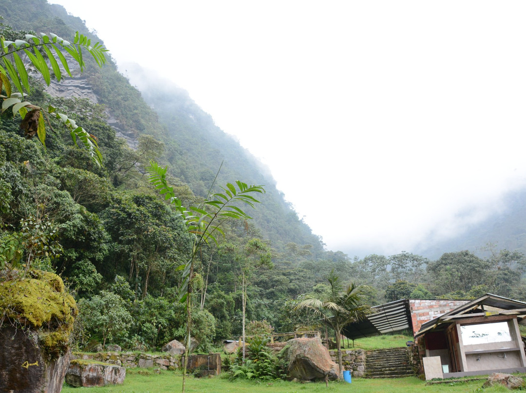 Parque Natural Los Tunos景点图片
