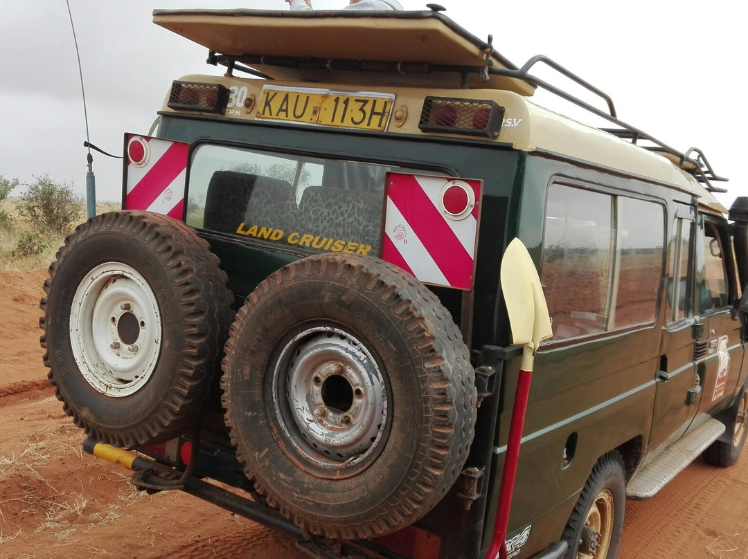 Kalu Safari Kenya景点图片