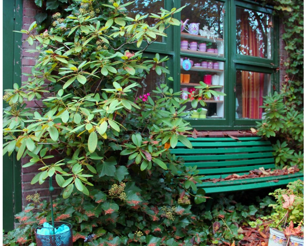 Benboverijssel主图