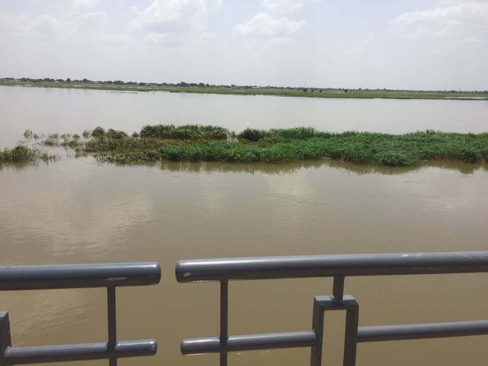 Radisson Blu Hotel, N'djamena-泳池