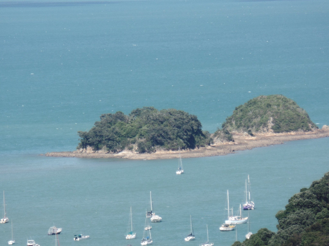 Waiheke Equestrian-怀系奇岛必去景点