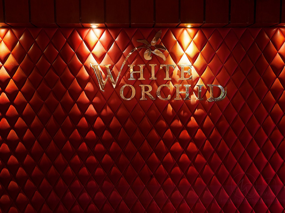 White Orchid主图