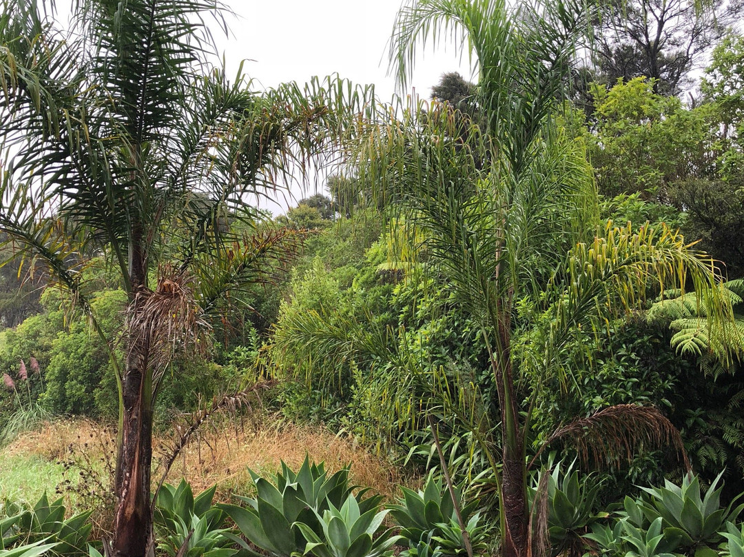 Koi Roc Waiheke Island Accommodation主图