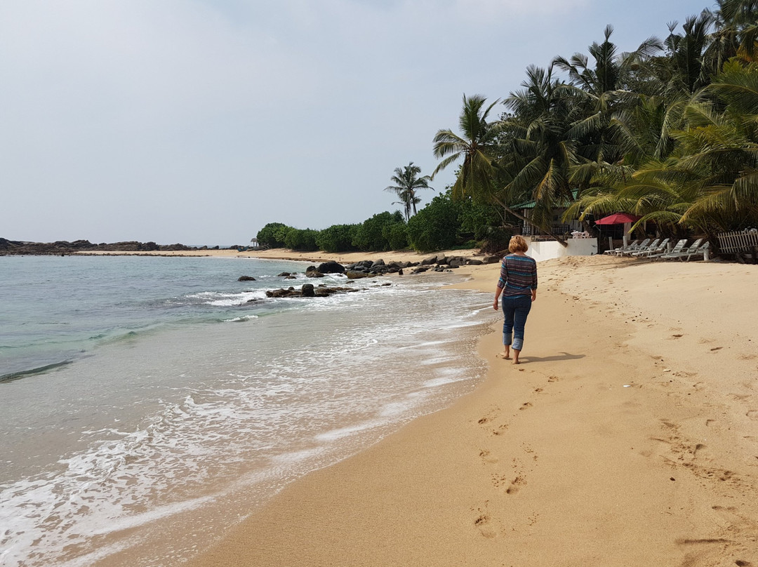 Coconut Palm Guesthouse主图