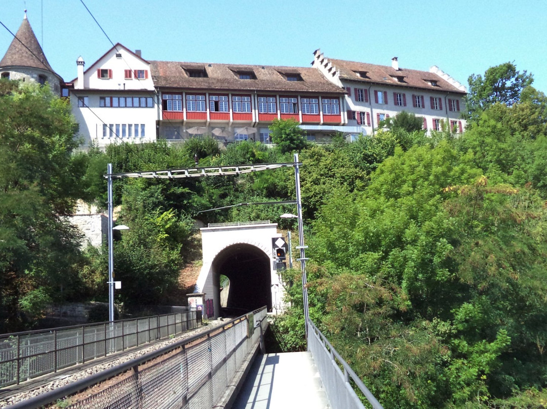 Schloss Laufen景点图片