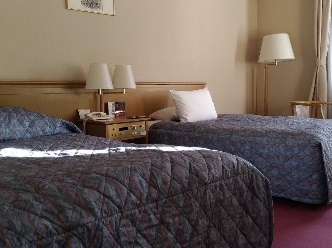 Fukuno Town Hotel A Mieux主图
