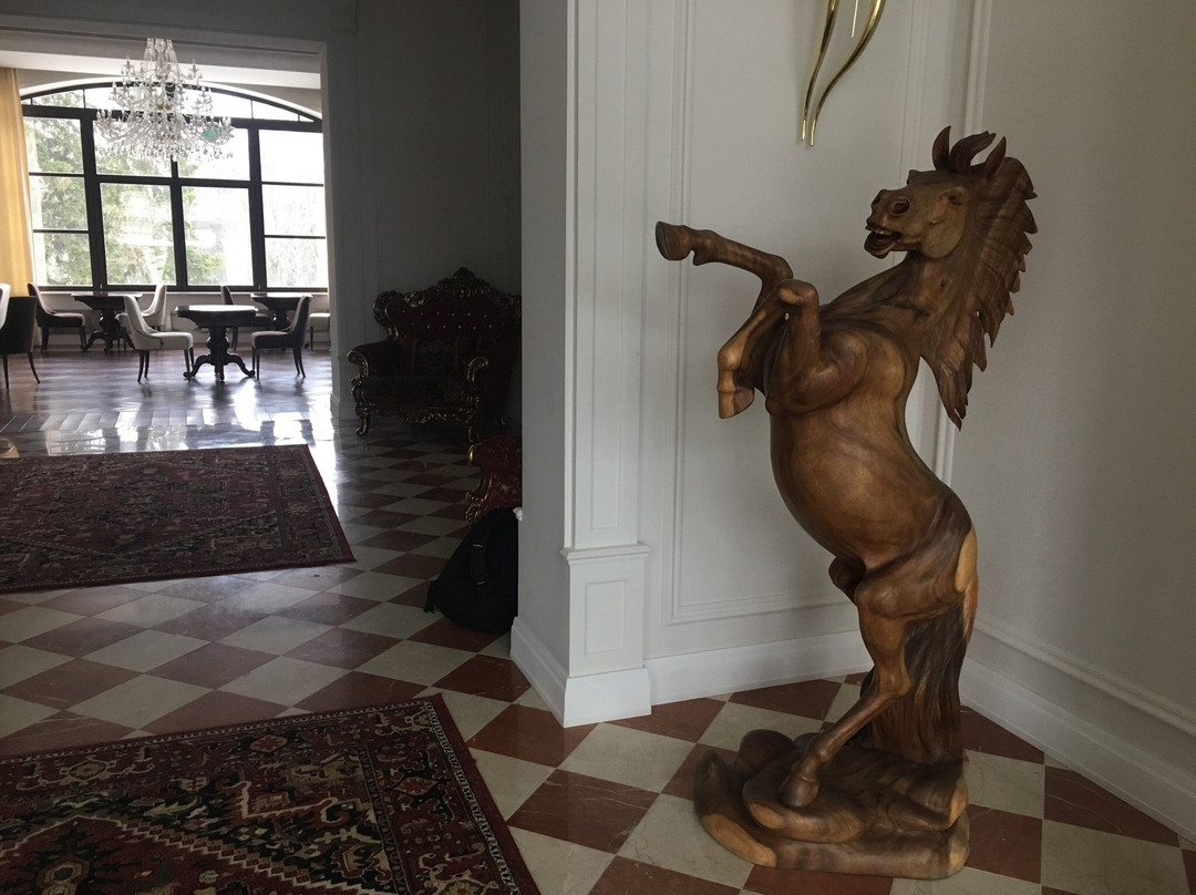 Residence Sareevo Resort主图