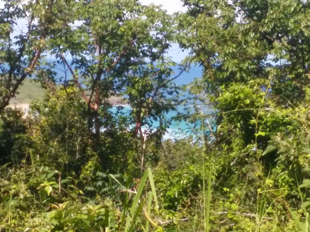 Brava Beach-库莱布拉岛必去景点