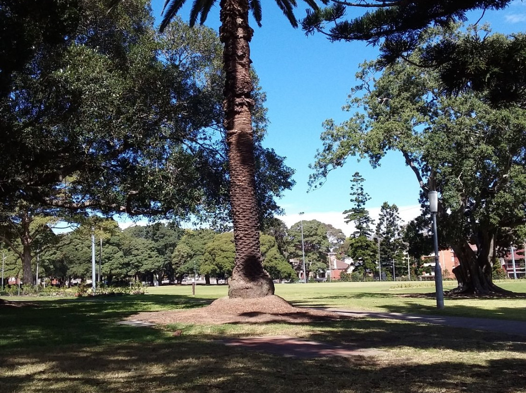 Ashfield Park景点图片