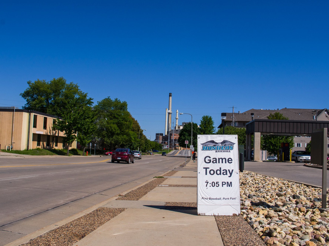 Mayo Field-罗切斯特必去景点