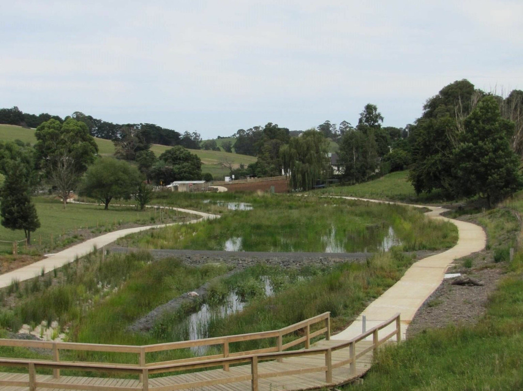 Neerim South Wetlands景点图片