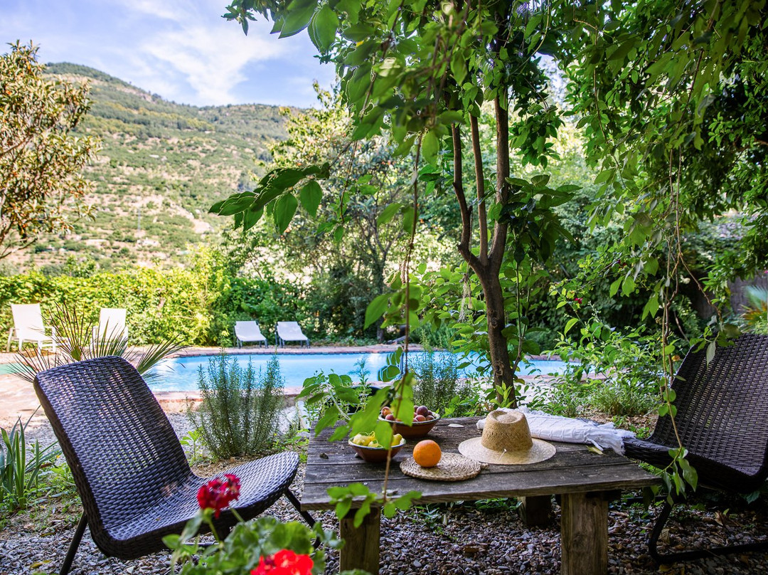 林中小屋乡村旅馆主图