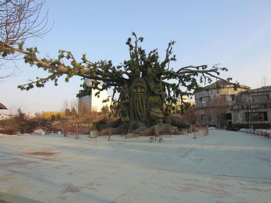 长影世纪城-长春市必去景点