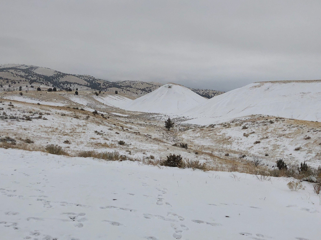 Carroll Rim Trail-Mitchell必去景点
