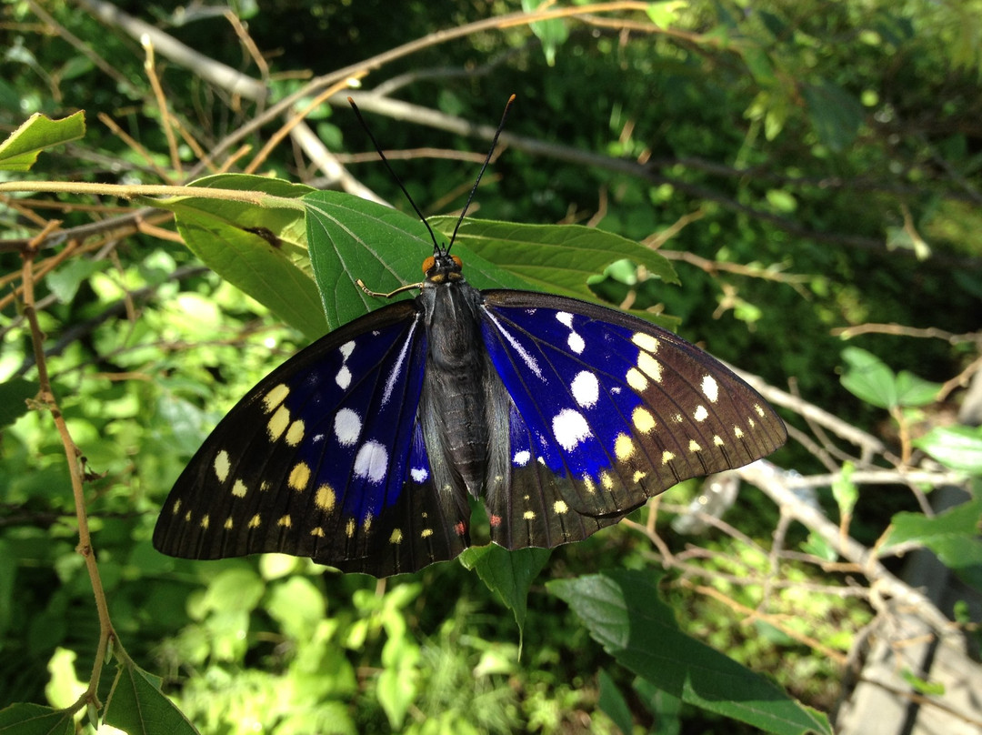 Hokutoshi Oomurasaki Center-北斗市必去景点