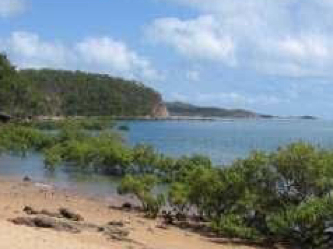 Newry Islands National Park景点图片