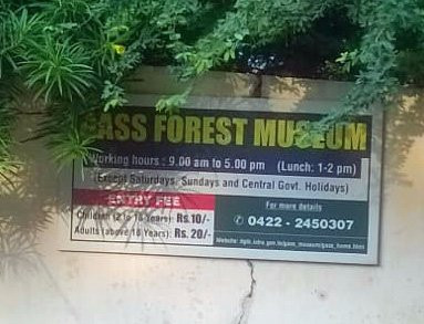 Gass Forest Museum-孔巴托必去景点