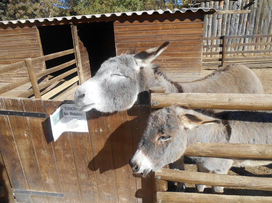 Ferme Animaliere d'Auriol景点图片