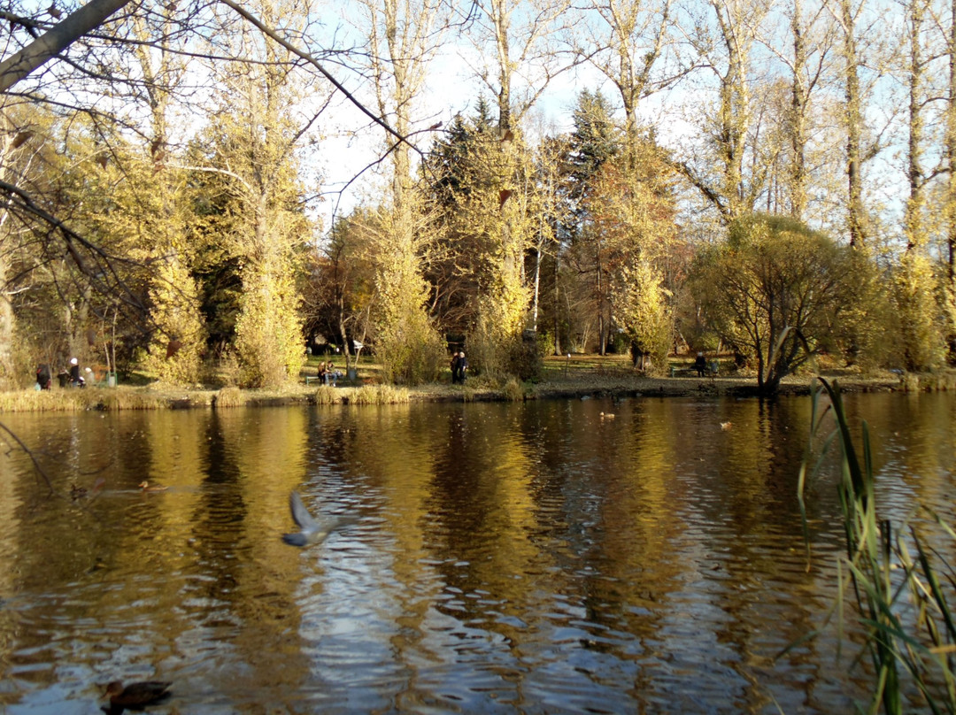 Arboretum Park Exhibition景点图片