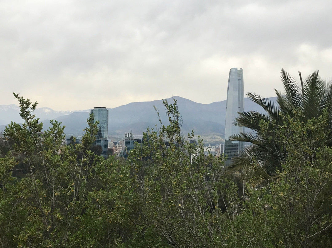 Jardín Botánico Mapulemu-圣地亚哥必去景点