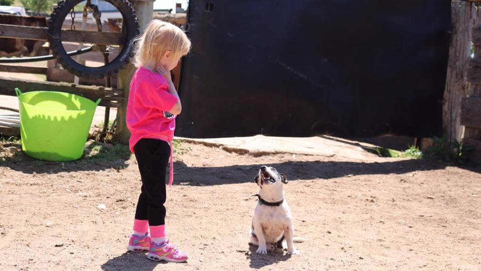 Wolumla Horse Riding Adventures-Wolumla必去景点