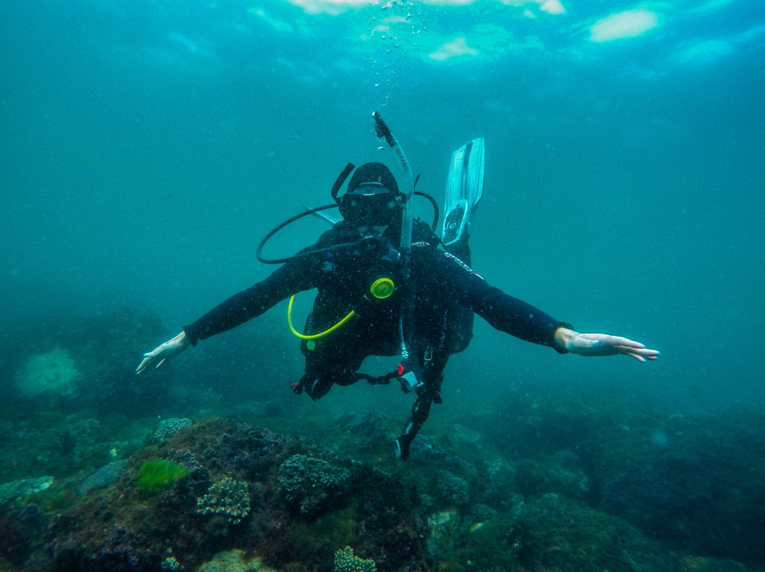 Sporty's Scuba Diving-Bundall必去景点