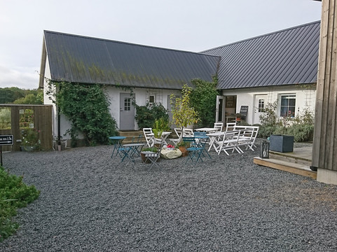 艾里斯托尔普酒店主图