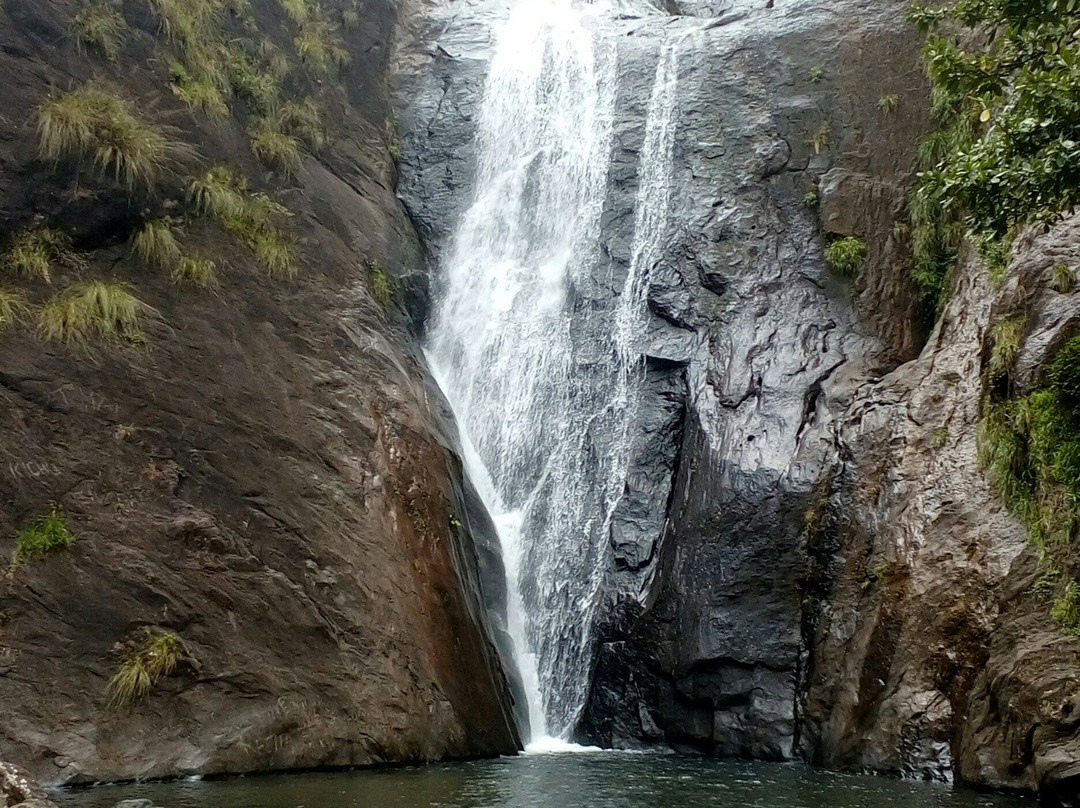 Kattikkayam Water Falls景点图片