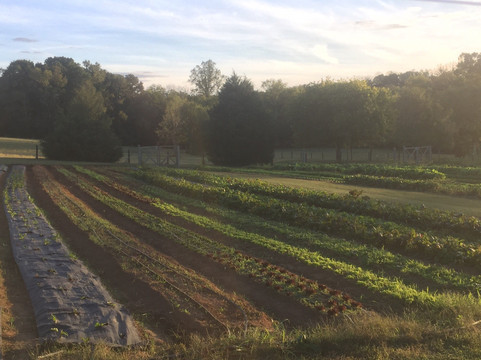 Lee's Healthy Cooking Classes-教堂山必去景点