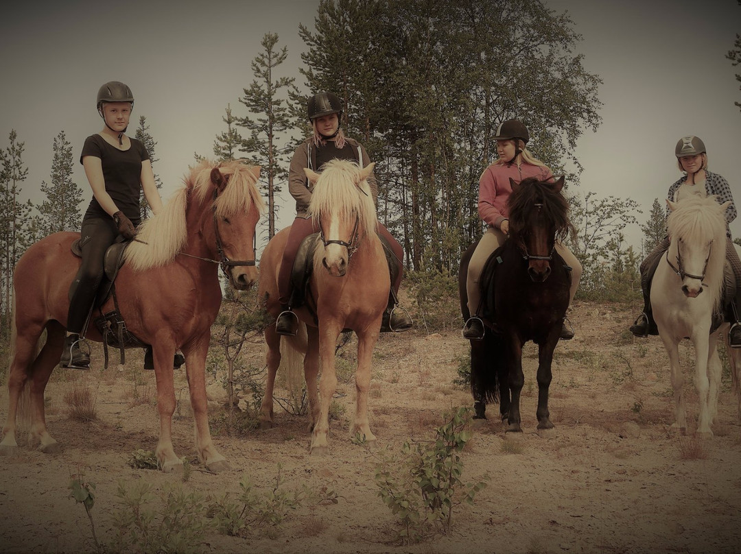 Galgbackens Islandshästar-Gallivare必去景点