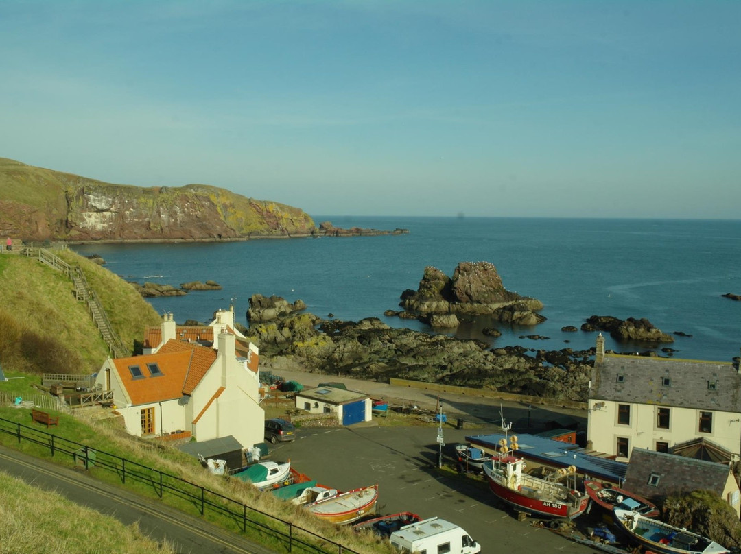 St Abbs Market-St Abbs必去景点
