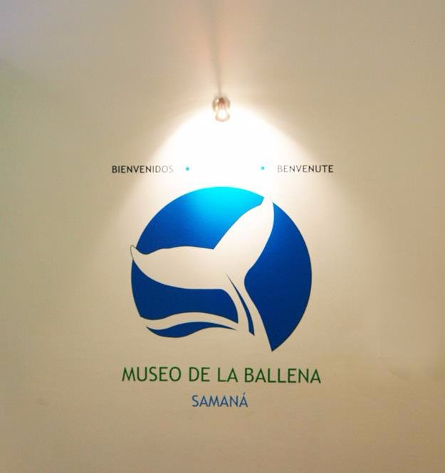 Museo de la Ballena景点图片