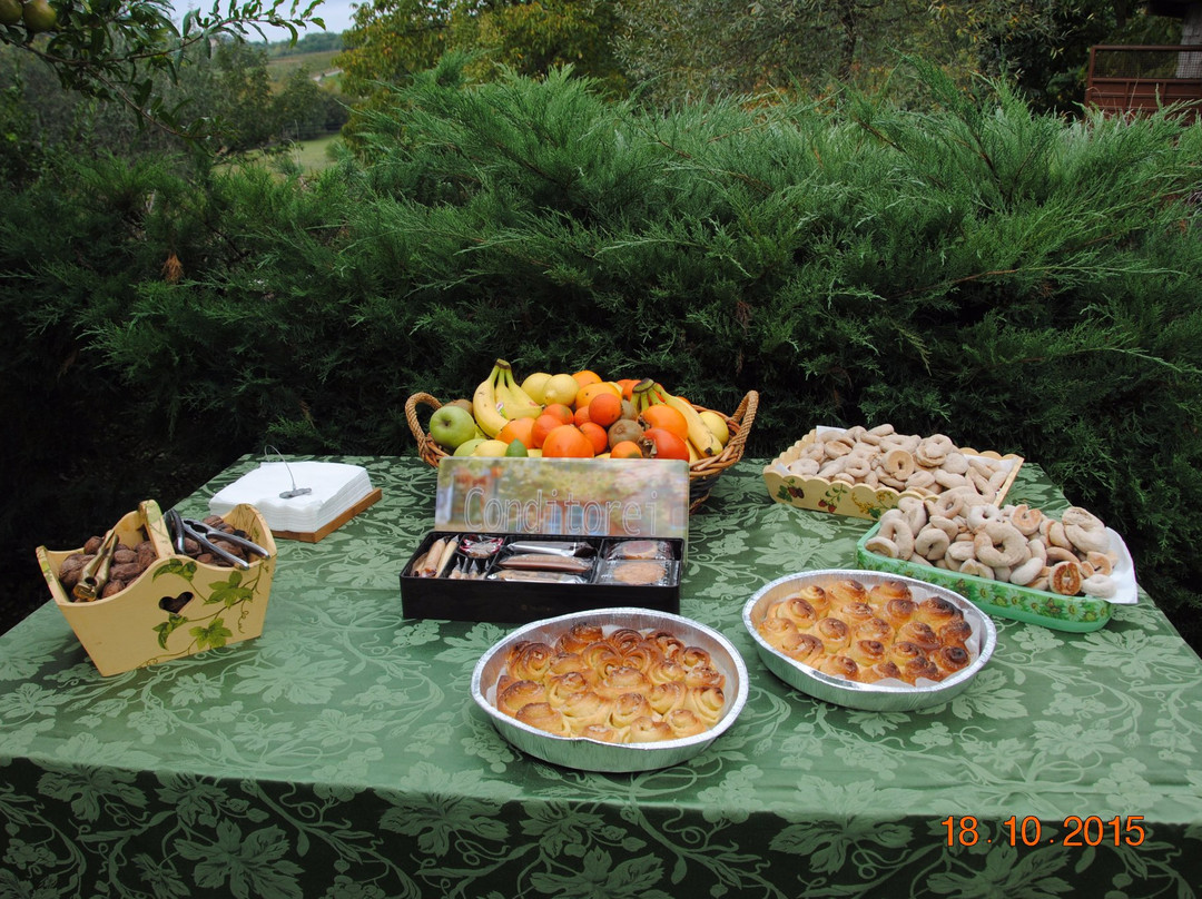 Vigneto e Cantina Luca Sbardella-Piglio必去景点