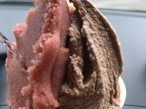 ジェラート札幌 果林樹主图