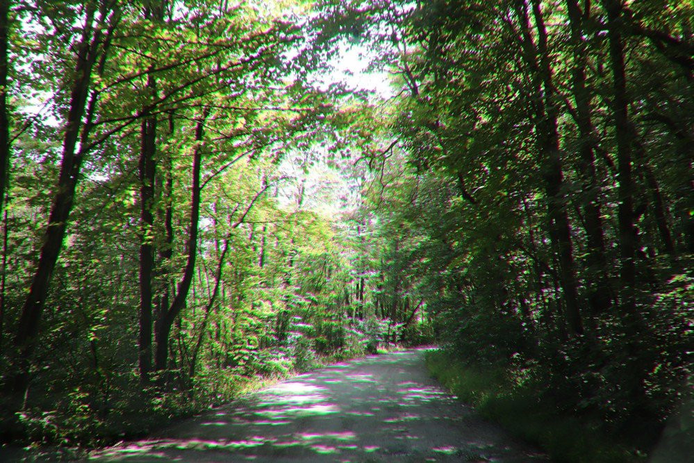 St. Johns Conservation Area-Thorold必去景点