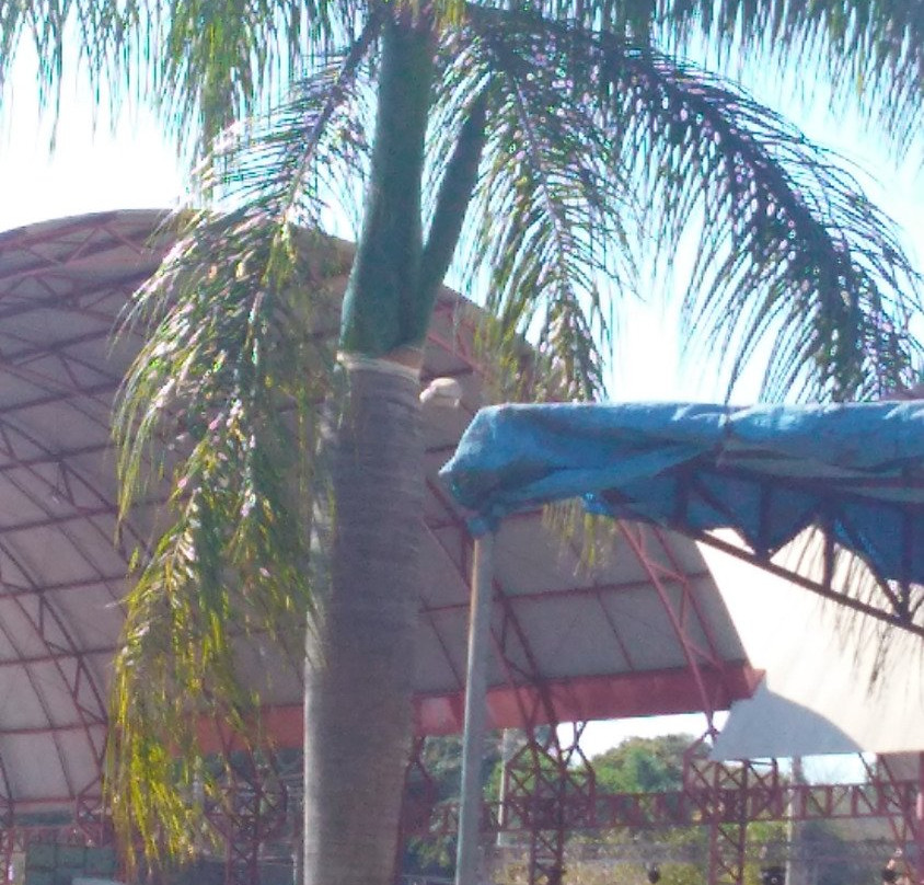 Escola Parque Da Natureza E Esporte-巴西利亚必去景点