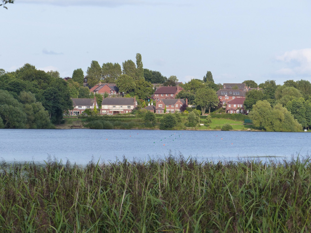 Pickmere Lake-纳茨福德必去景点