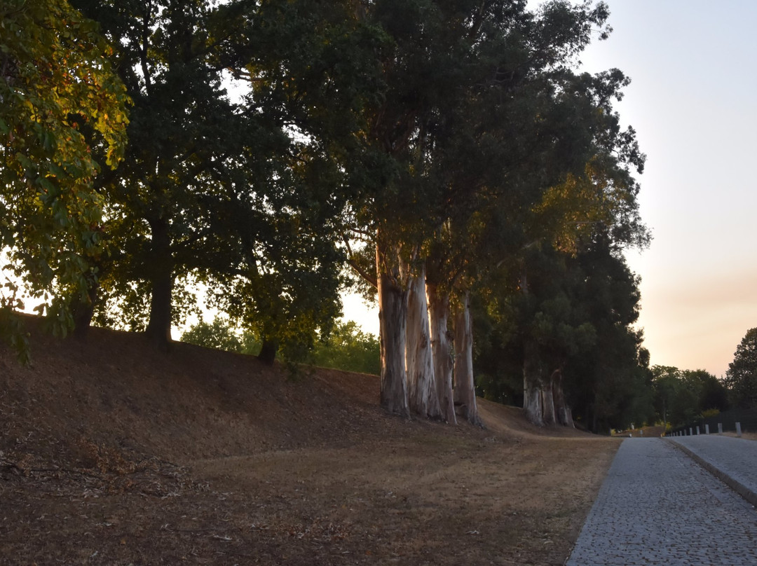 Cava de Viriato-维塞乌必去景点