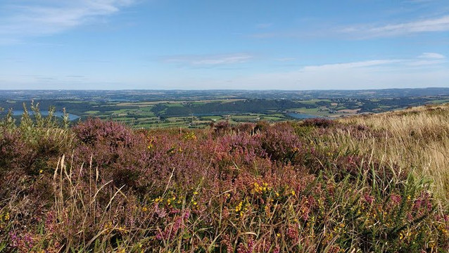 Dineault旅游攻略图片