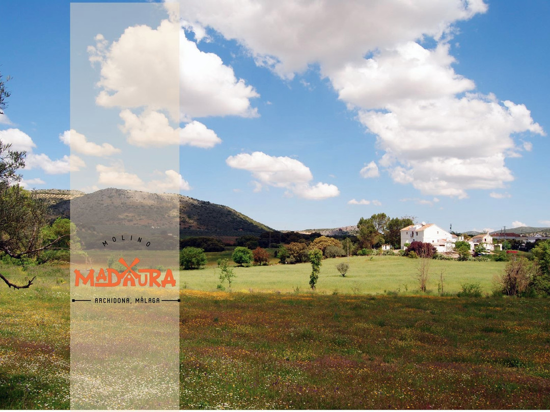 Molino de Madaura景点图片