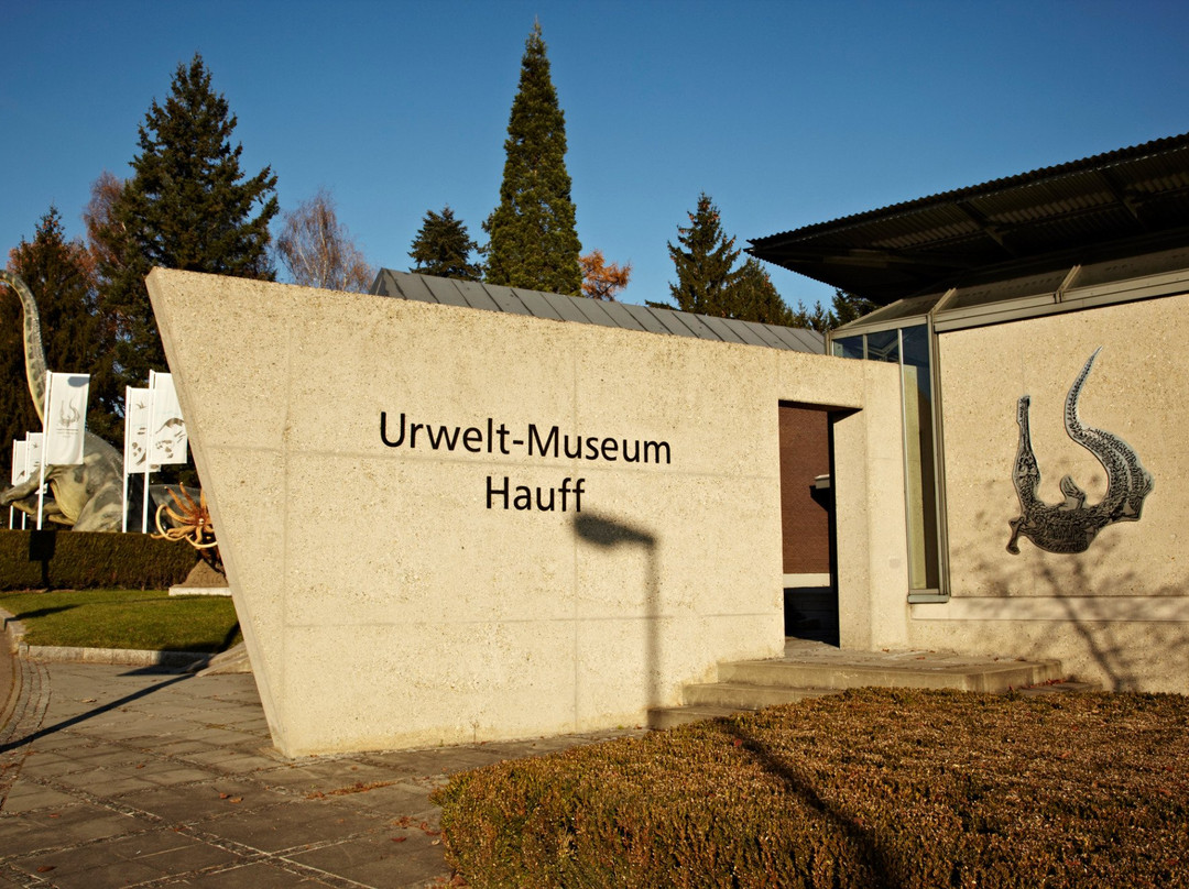 Urwelt Museum Hauff景点图片