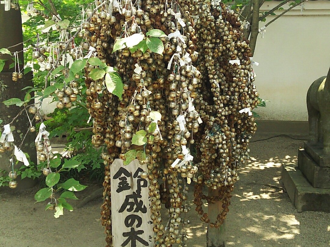 Okayama Shrine-小城市必去景点