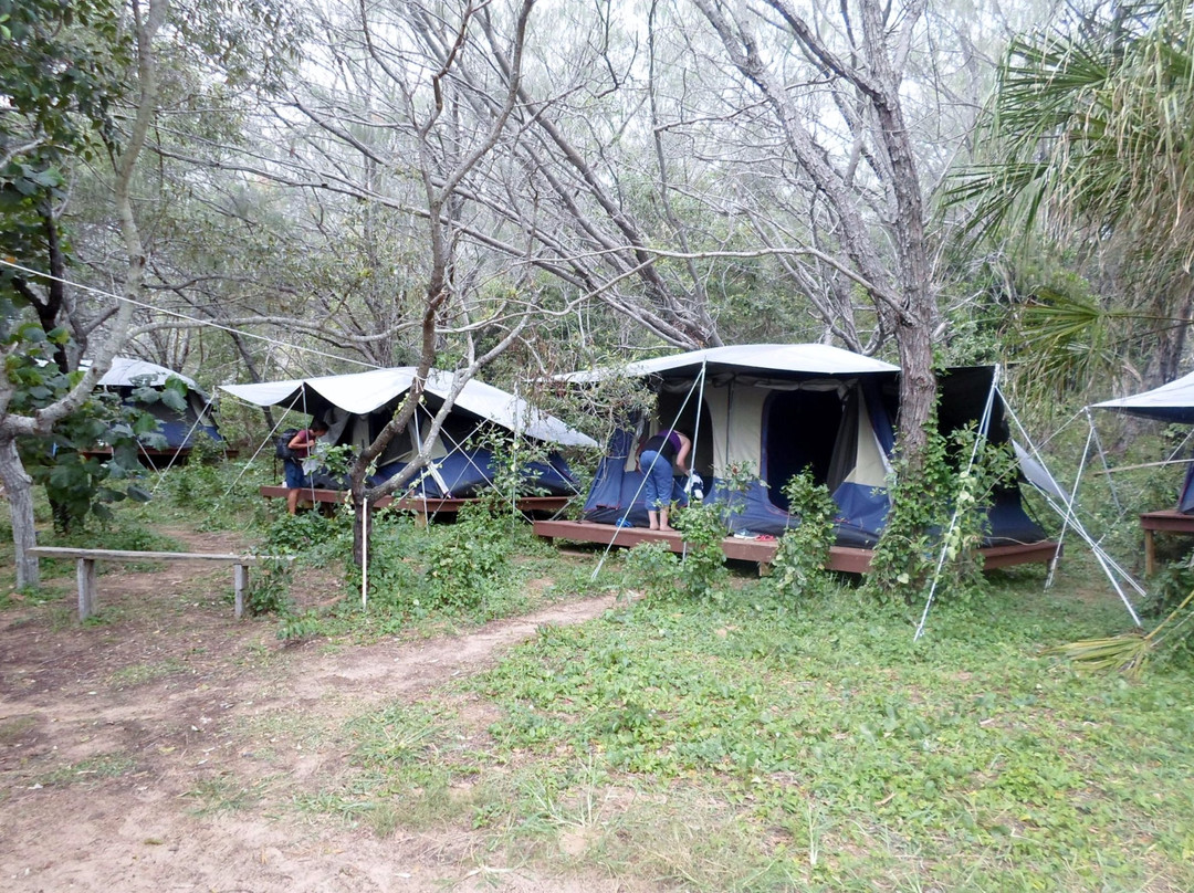 1770 Castaway Island Adventures - Day Tours-Agnes Water必去景点