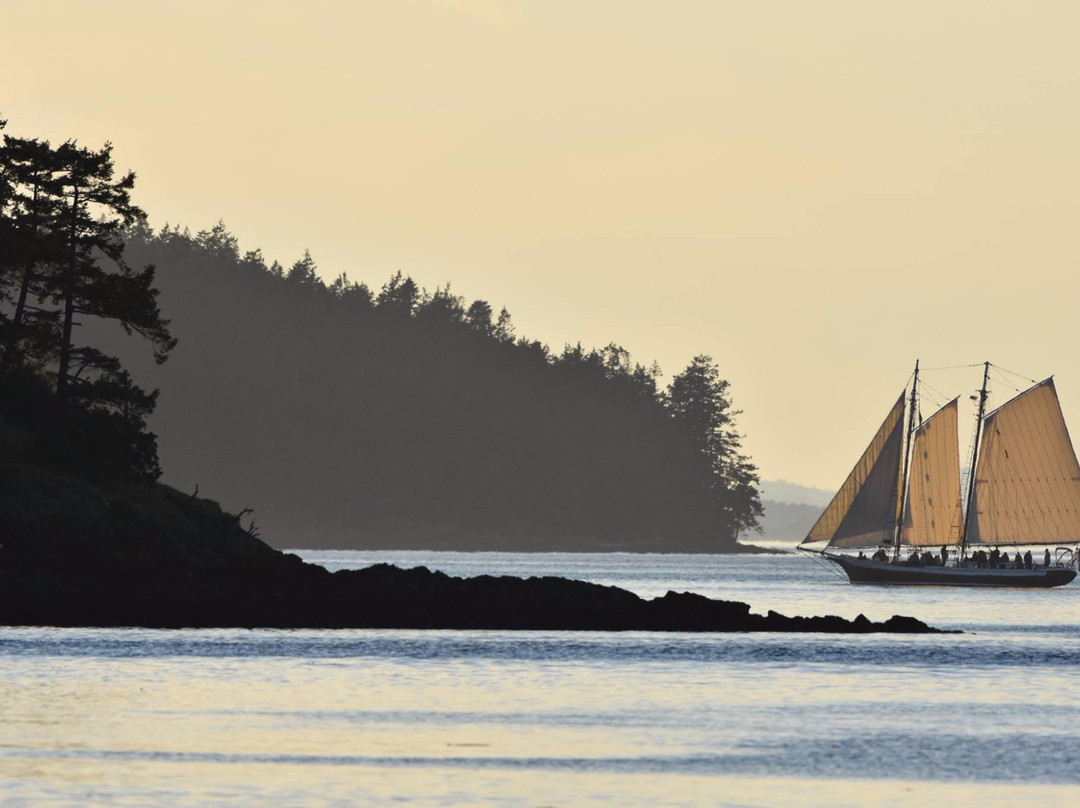 Schooners North景点图片