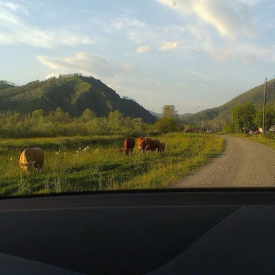 Cherga旅游攻略图片