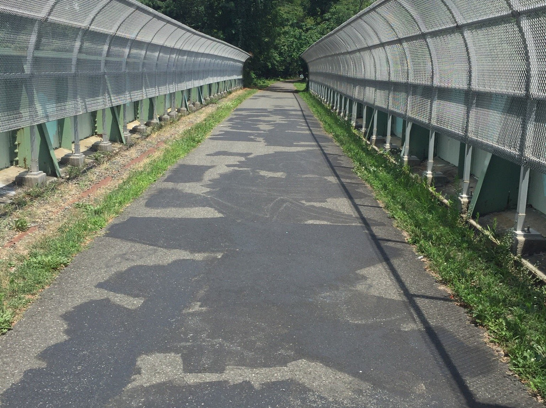 Henry Hudson Trail景点图片