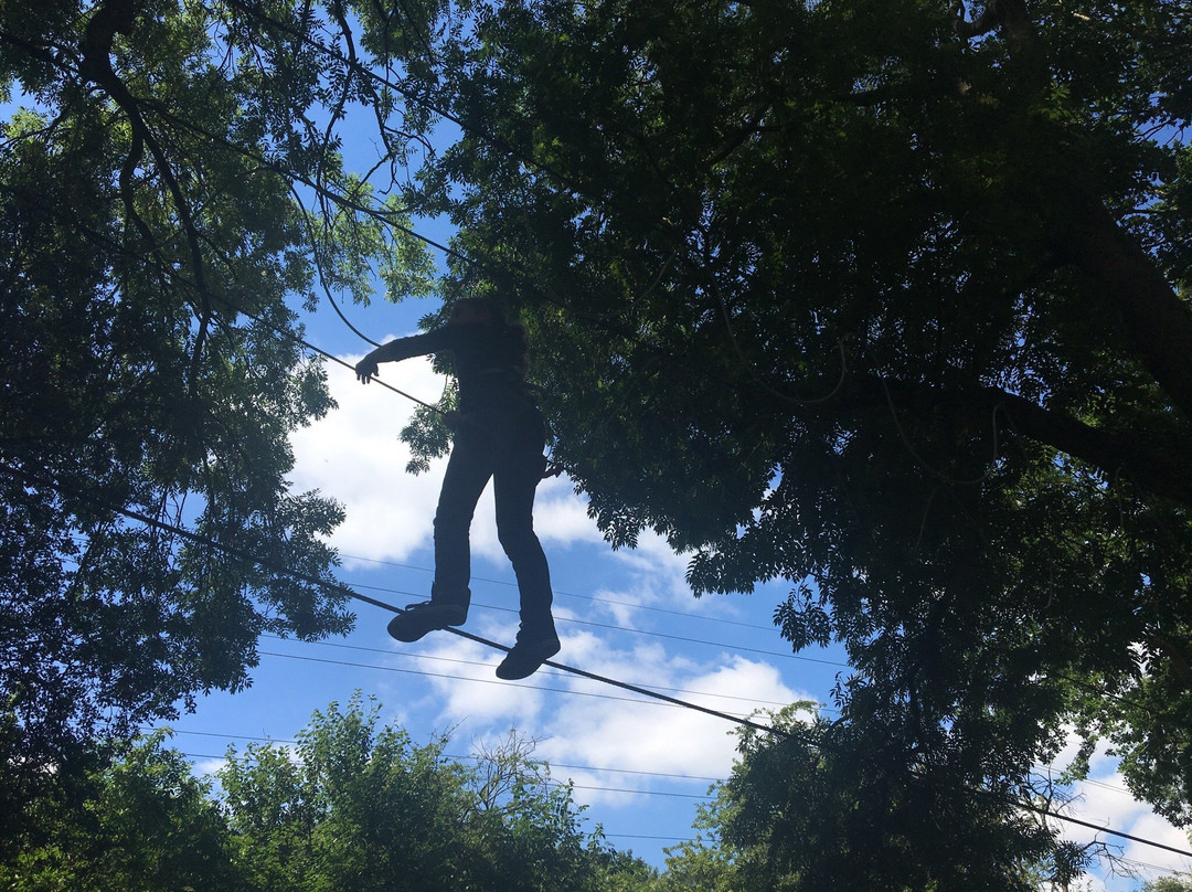 Jungle Parc - Northampton-韦灵伯勒必去景点