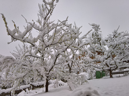 The Reds Schischule-Westendorf必去景点